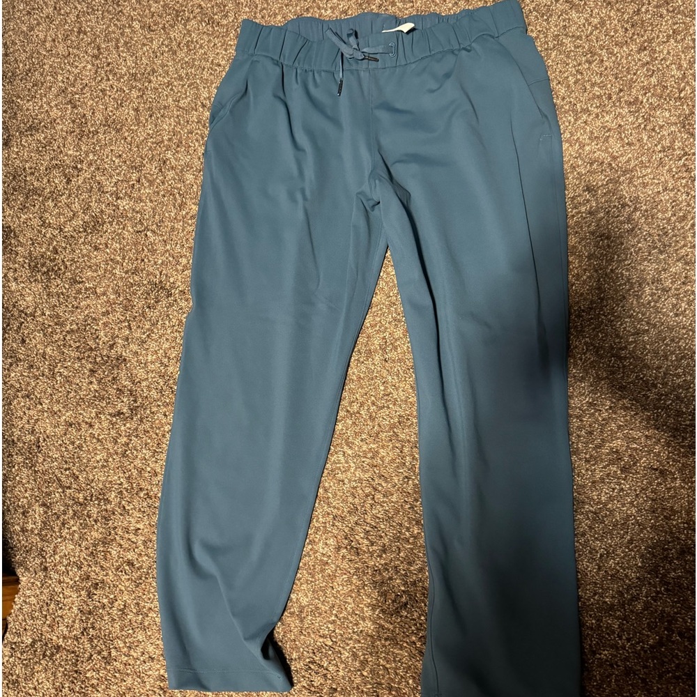 On The Fly Pants NWOT